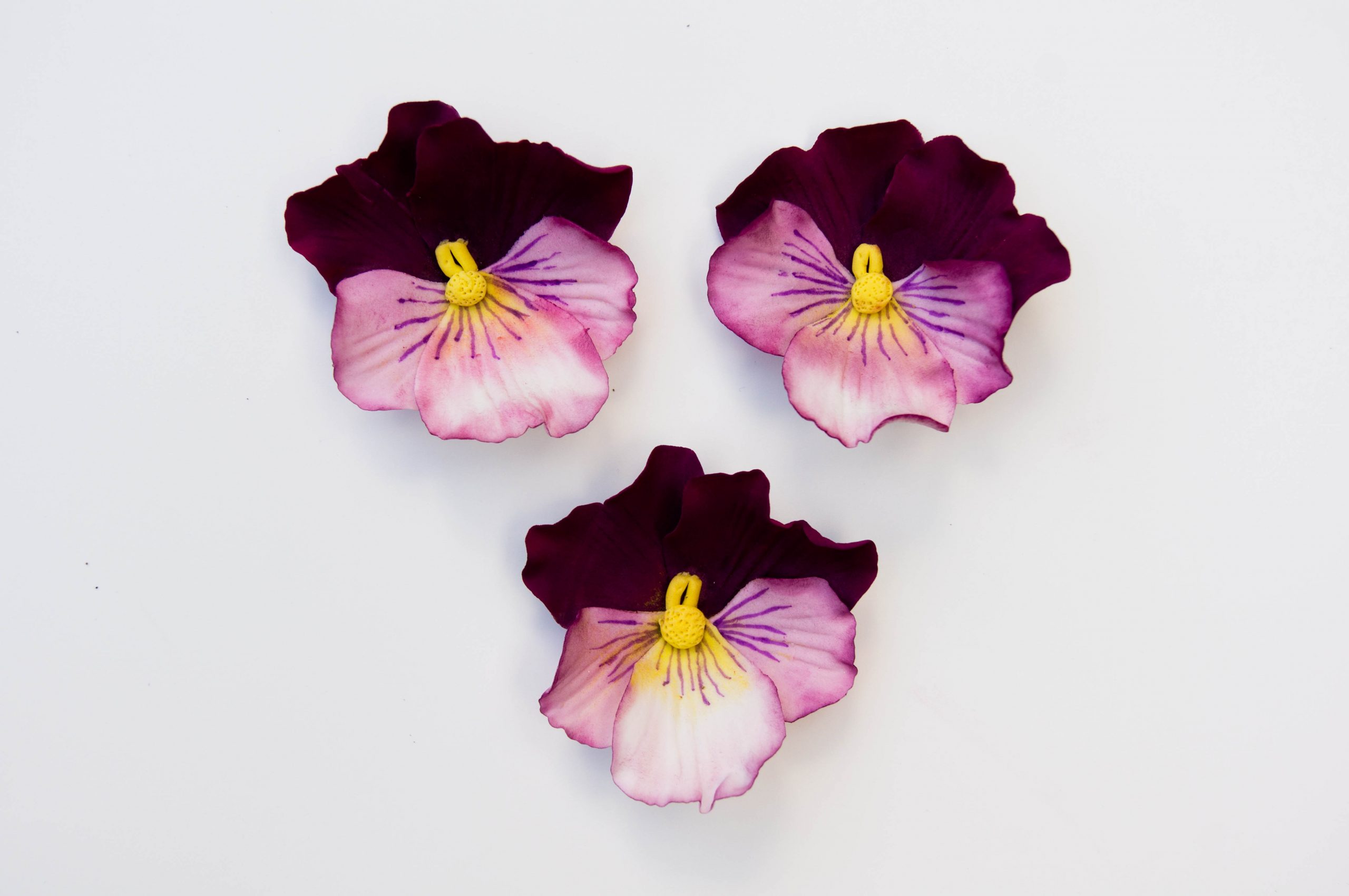 Pansy flower cutter set CutterCraft