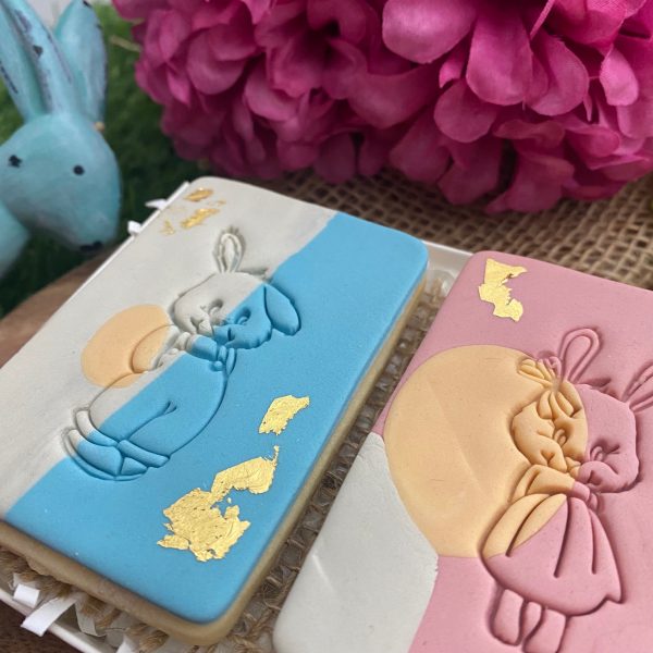 NEM543 and NEM544 girl boy rabbit 1