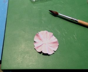 carnation10