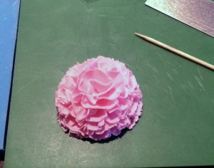 carnation14