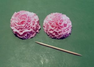 carnation16