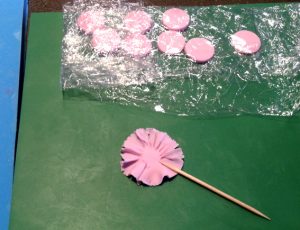 carnation4