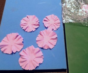 carnation5