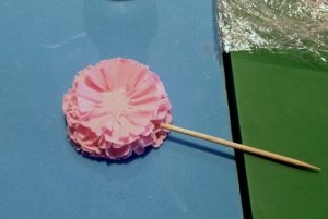 carnation7